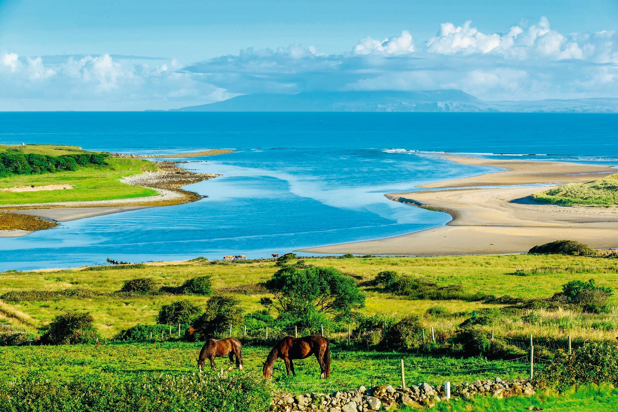 Beautiful landscape with horses in County Sligo, Ireland. 