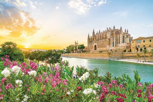 Treasures of the Mediterranean