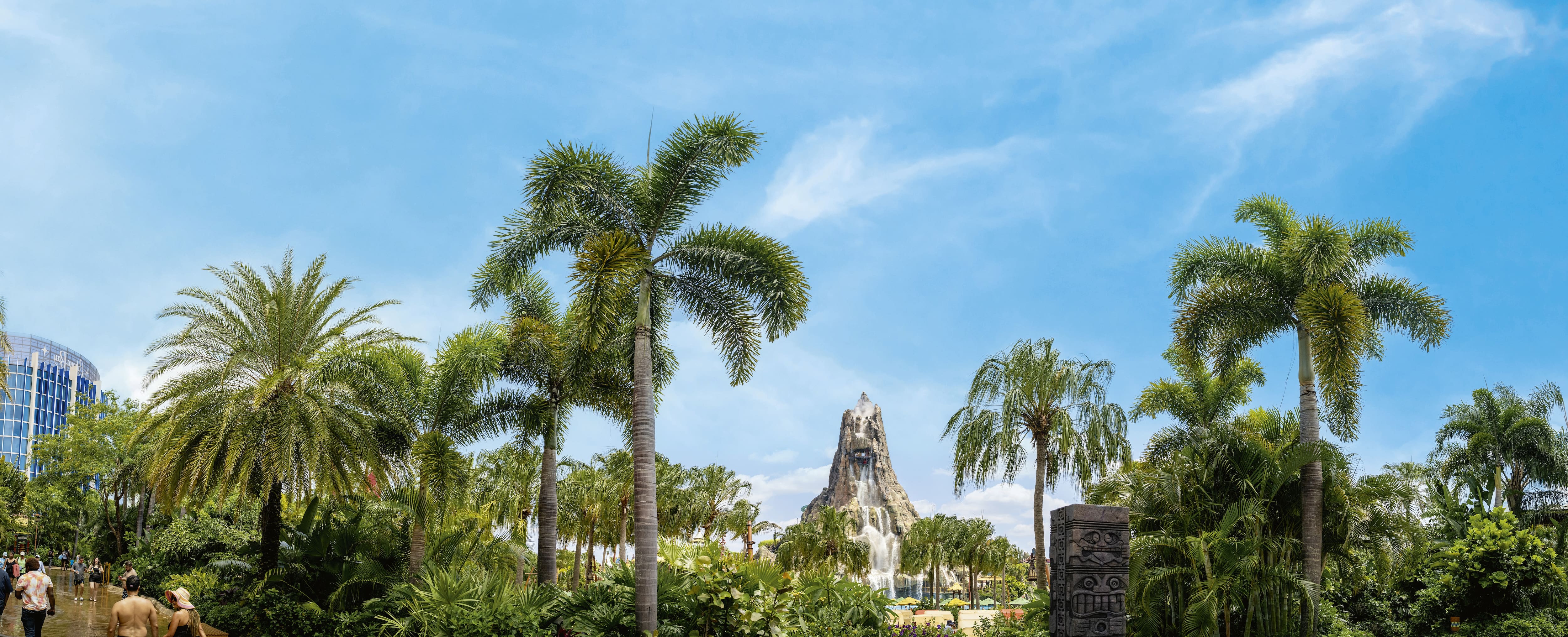 The Volcano and surrounding trees at Volcano Bay.