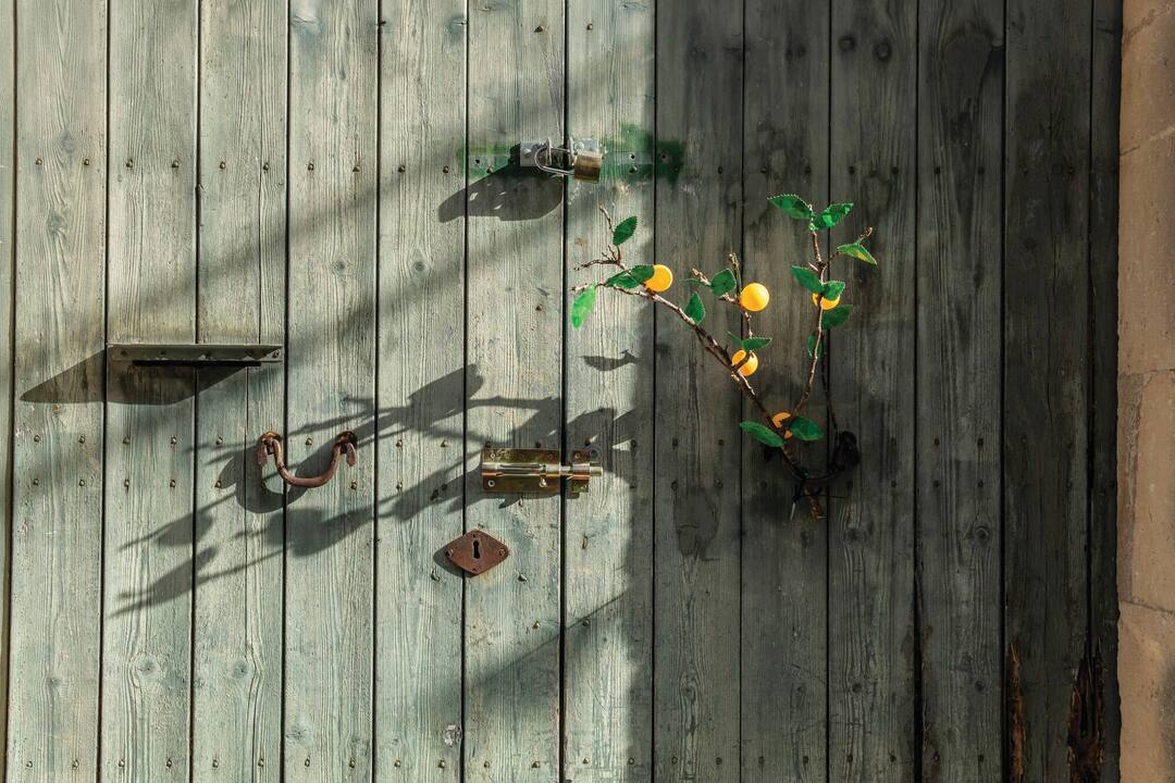 Street decoration with apricot branches and fruit, annual apricot fair, Porreres, Majorca
