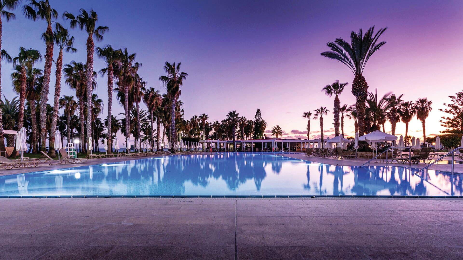 Large outdoor swimming pool reflecting rows of tall palm trees at sunset, with a purple and pink sky in the background. White sun loungers and umbrellas line the poolside, creating a serene tropical setting.