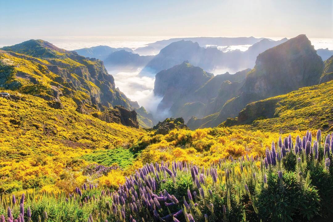 Madeira