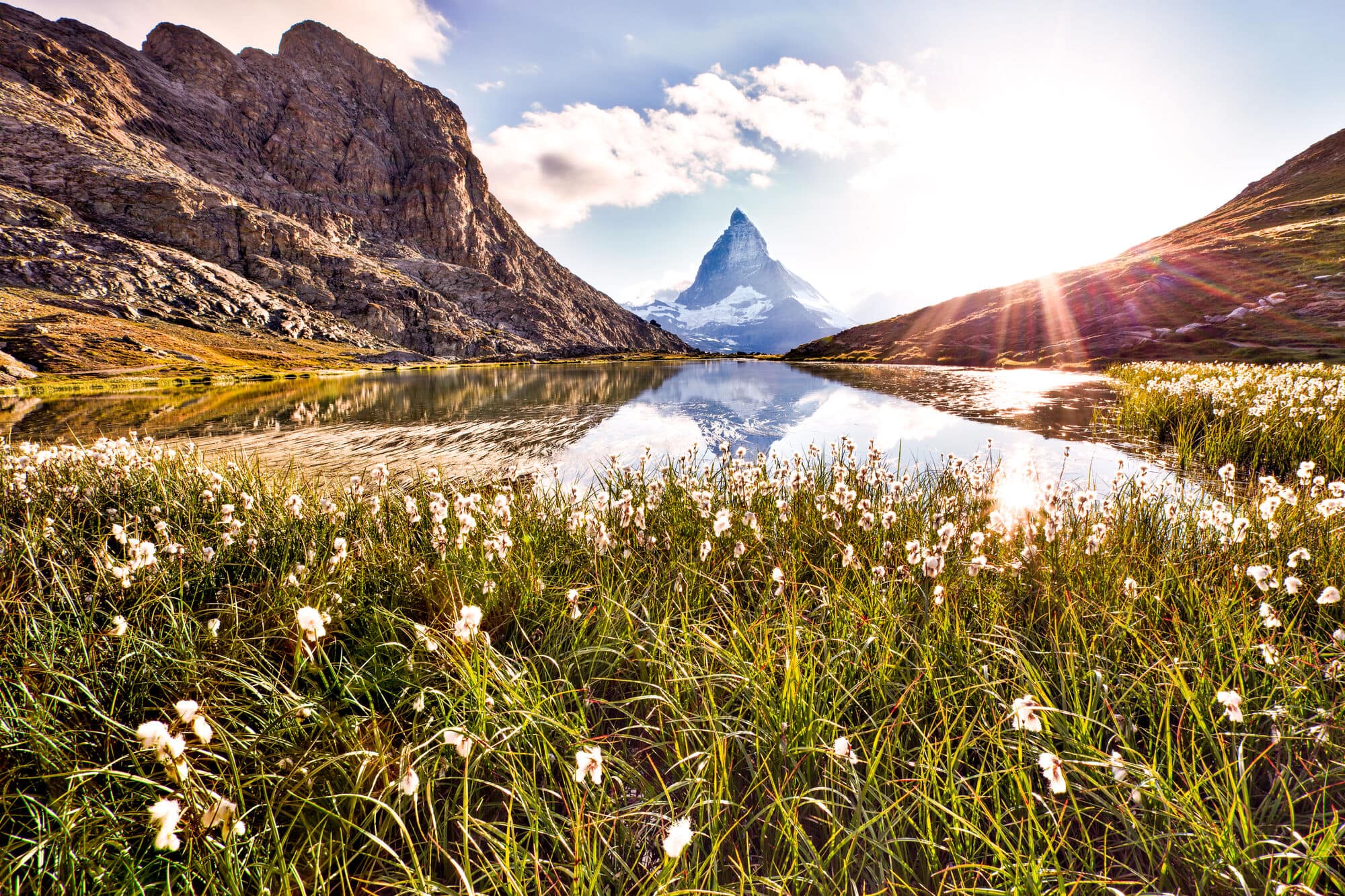Grass and flowers on the edge of a lake surrounded by rock mountains and the Matterhorn in the middle with it's reflection on the lake. 