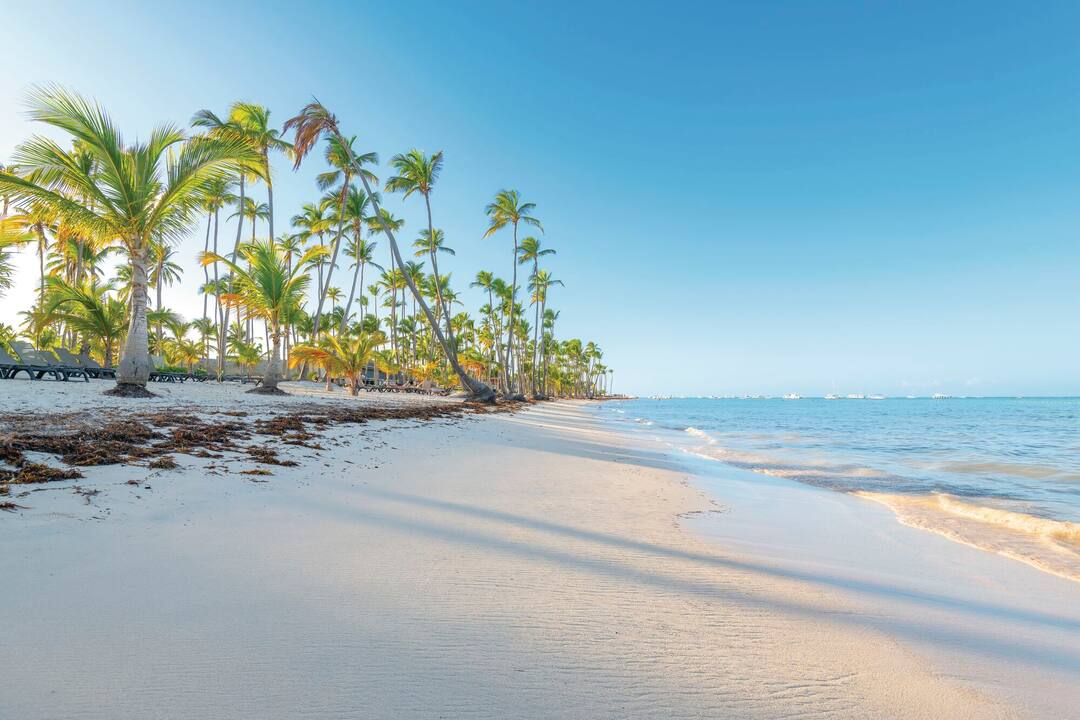 Bavaro Beach, Dominican Republic