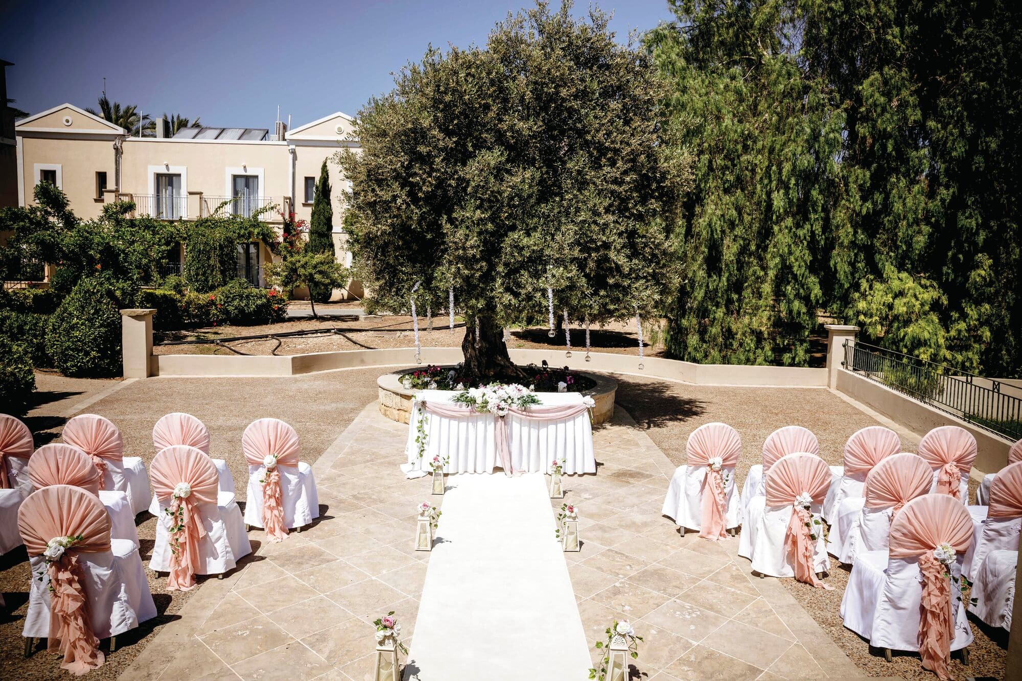An intimate wedding ceremony set-up with a white aisle runner in front of a tall olive tree.