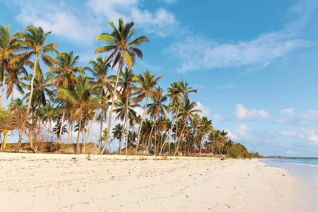 Uroa Beach, Zanzibar