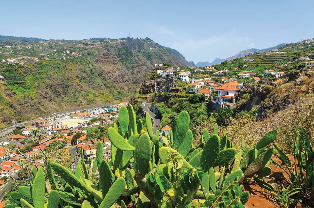 Ribeira Brava
