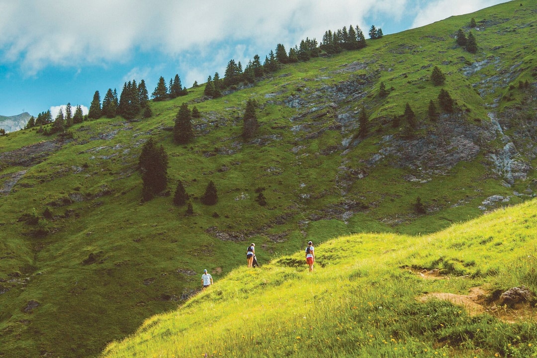 © Morzine Avoriaz / VTL Photo / Morzine, France