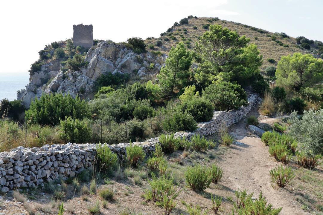 Massa Lubrense