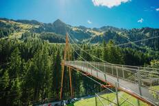 Alpine golden gate & Treetop trail, Saalbach, Austria