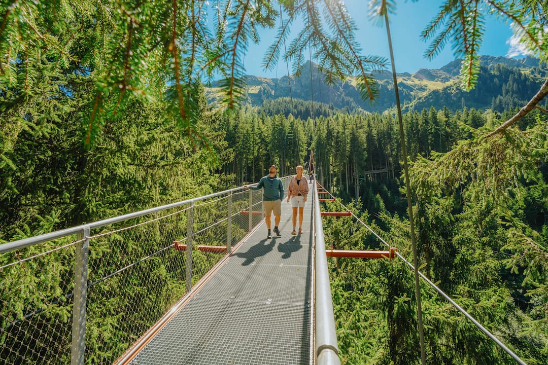 Alpine golden gate & Treetop trail, Saalbach, Austria