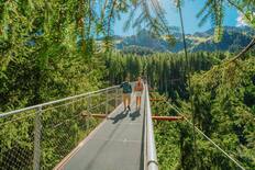 Alpine golden gate & Treetop trail, Saalbach, Austria