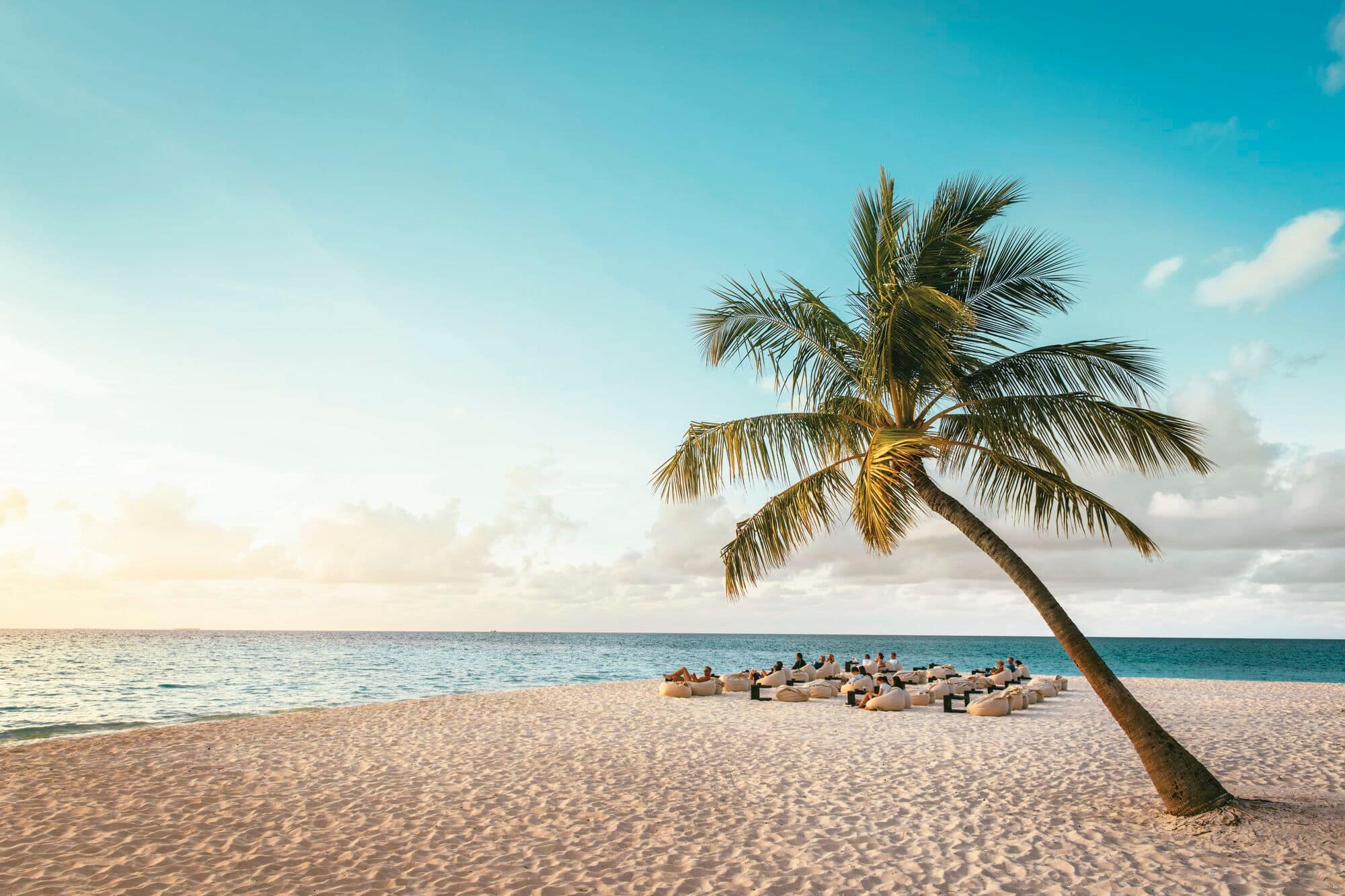 A serene tropical beach with a single leaning palm tree in the foreground.