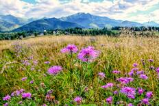© Archive of Zakopane Centre of Culture / Zakopane, Poland