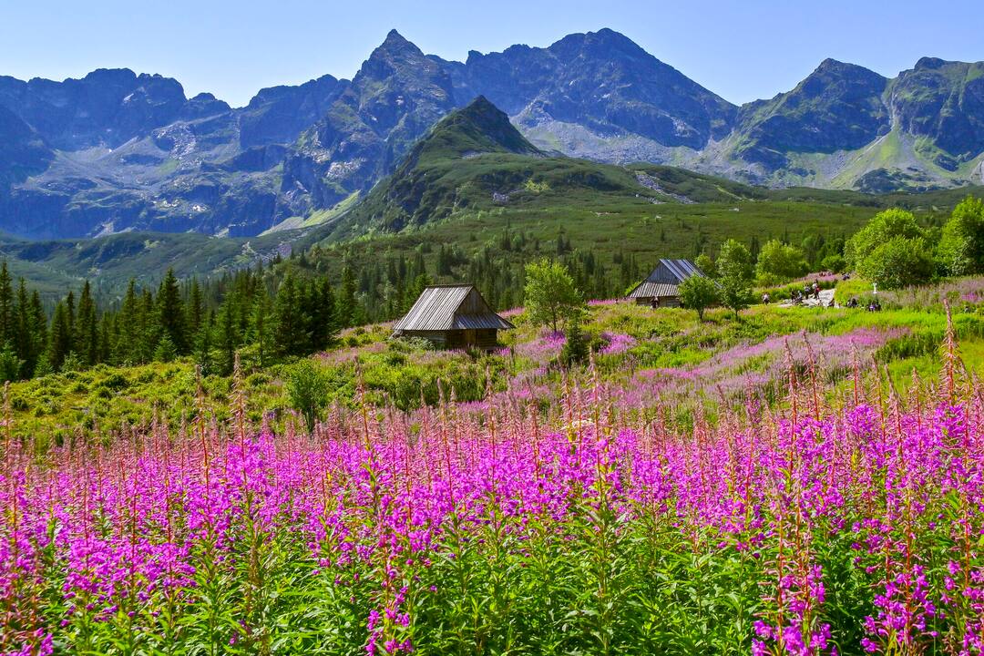 © Archive of Zakopane Centre of Culture / Tatra National Park, Zakopane, Poland