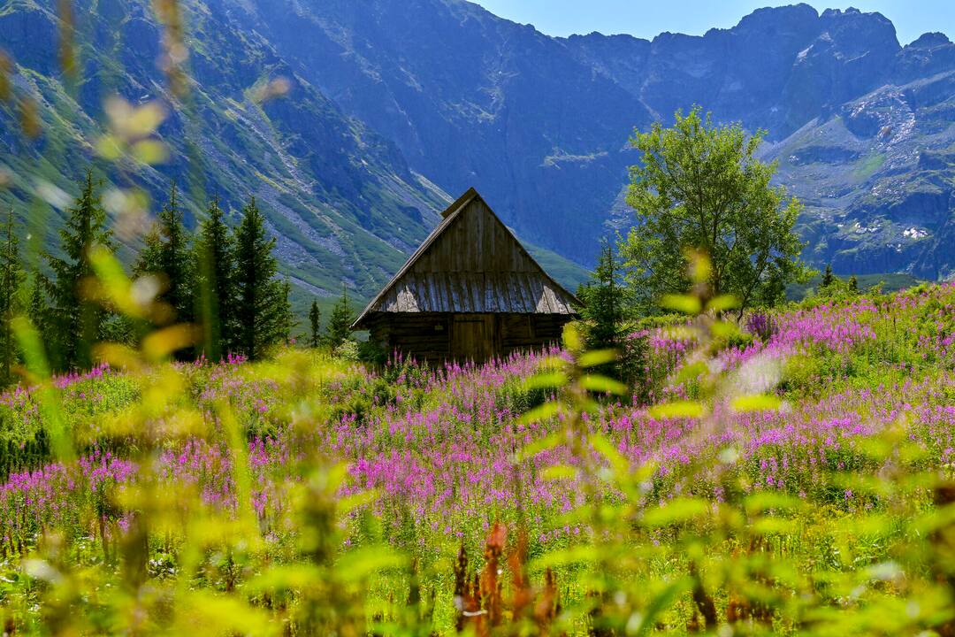 © Archive of Zakopane Centre of Culture / Tatra National Park, Zakopane, Poland