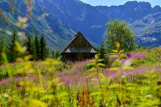© Archive of Zakopane Centre of Culture / Tatra National Park, Zakopane, Poland