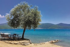 A picnic spot, with shade and a view