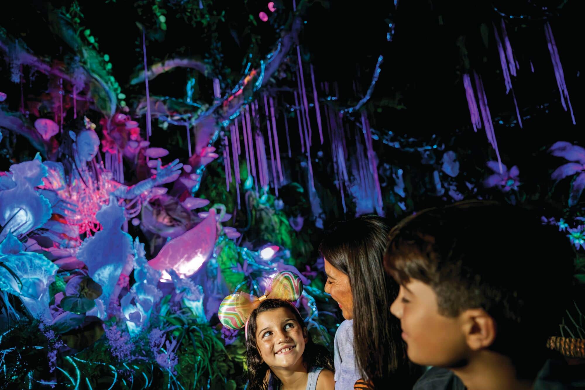 Na’vi River Journey.