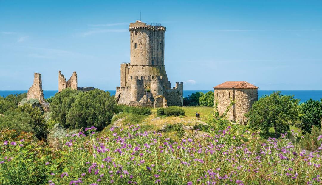 Ruins of the ancient city of Velia