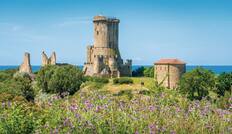 Ruins of the ancient city of Velia