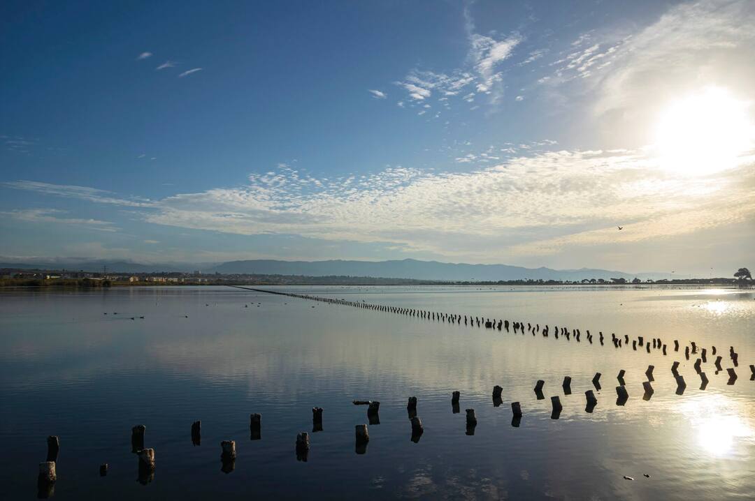 Molentargius Regional Natural Park
