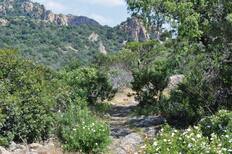 Monte Arcosu Natural Reserve