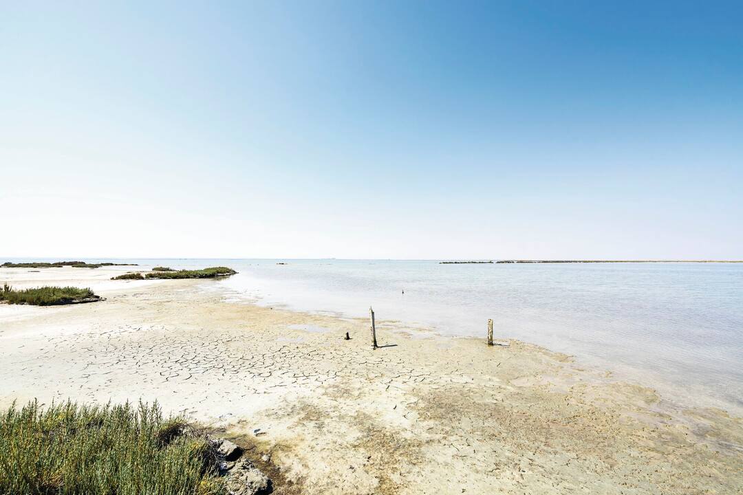 Saline di Margherita di Savoia, a large salt marsh