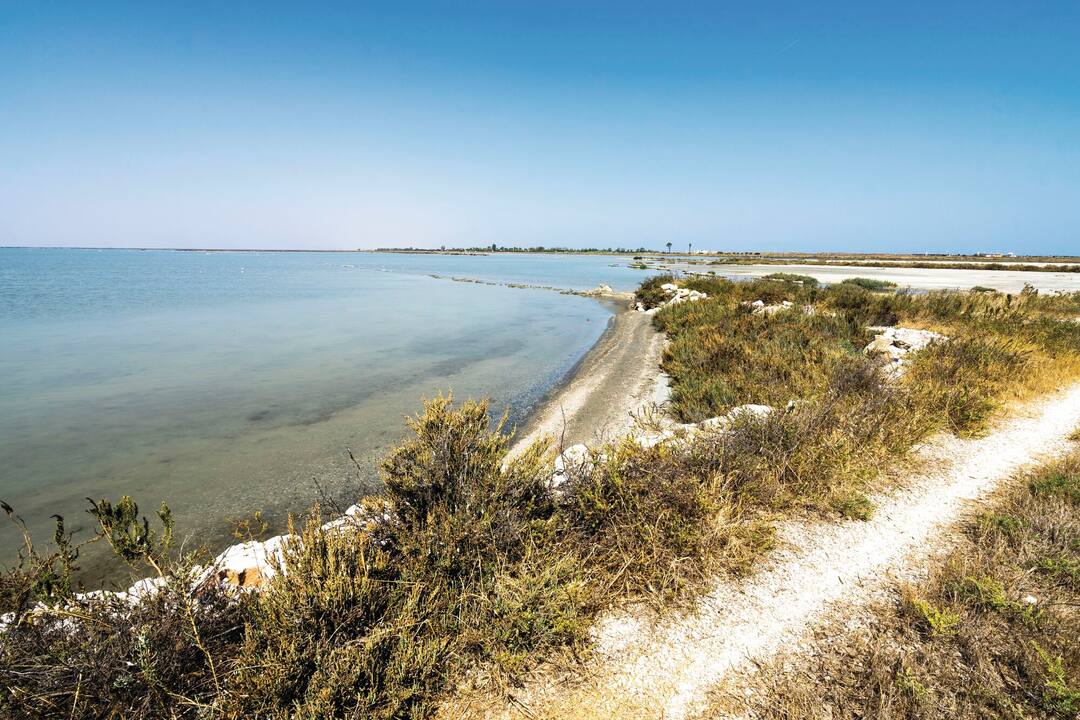 Margherita di Savoia salt flats