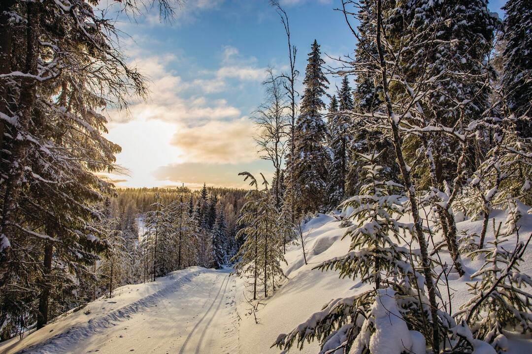 Paljakka, Puolanka