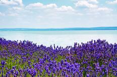 Balatonfured, Hungary