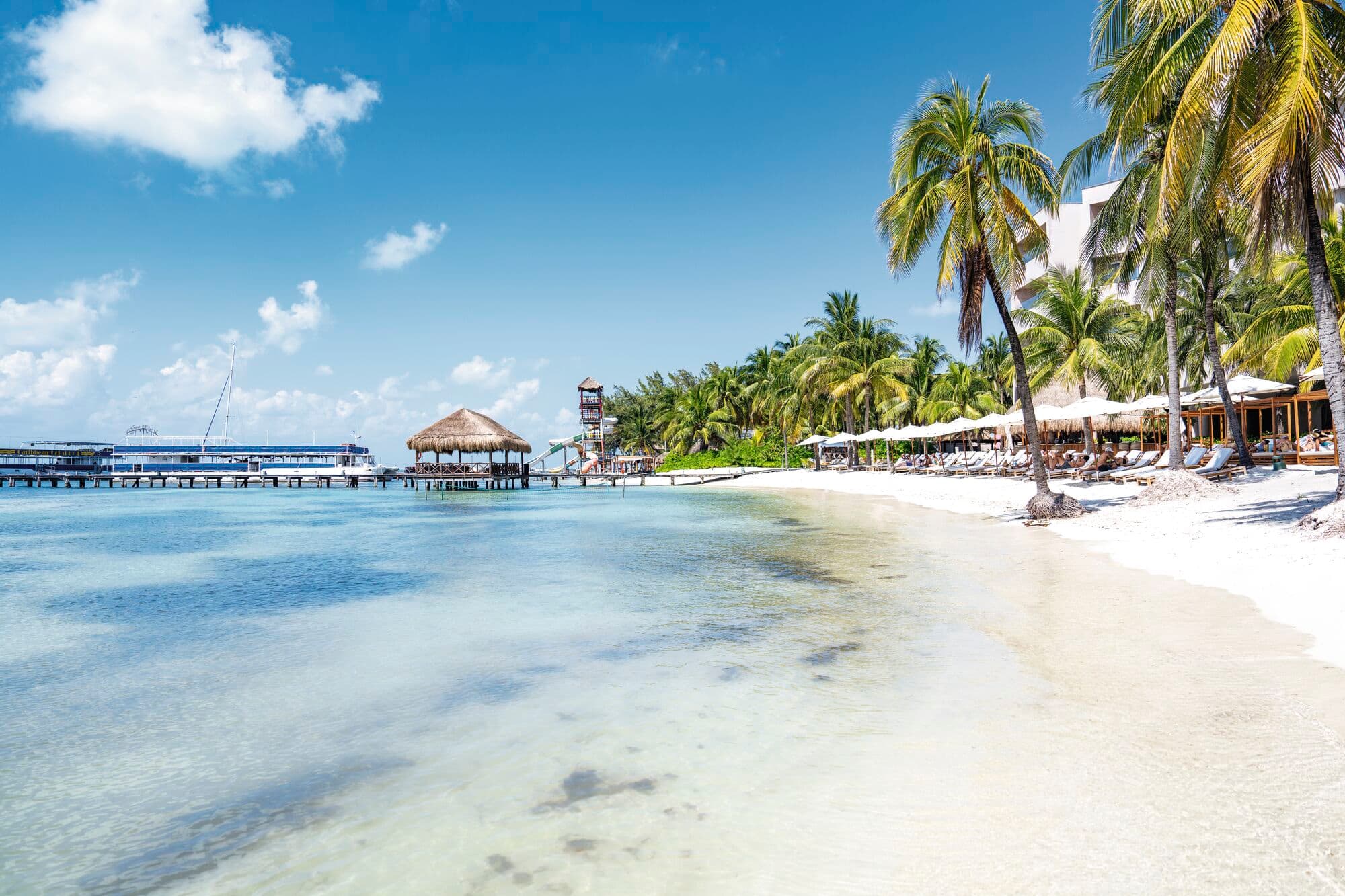 A palm-fringed beach in Isla Mujures.