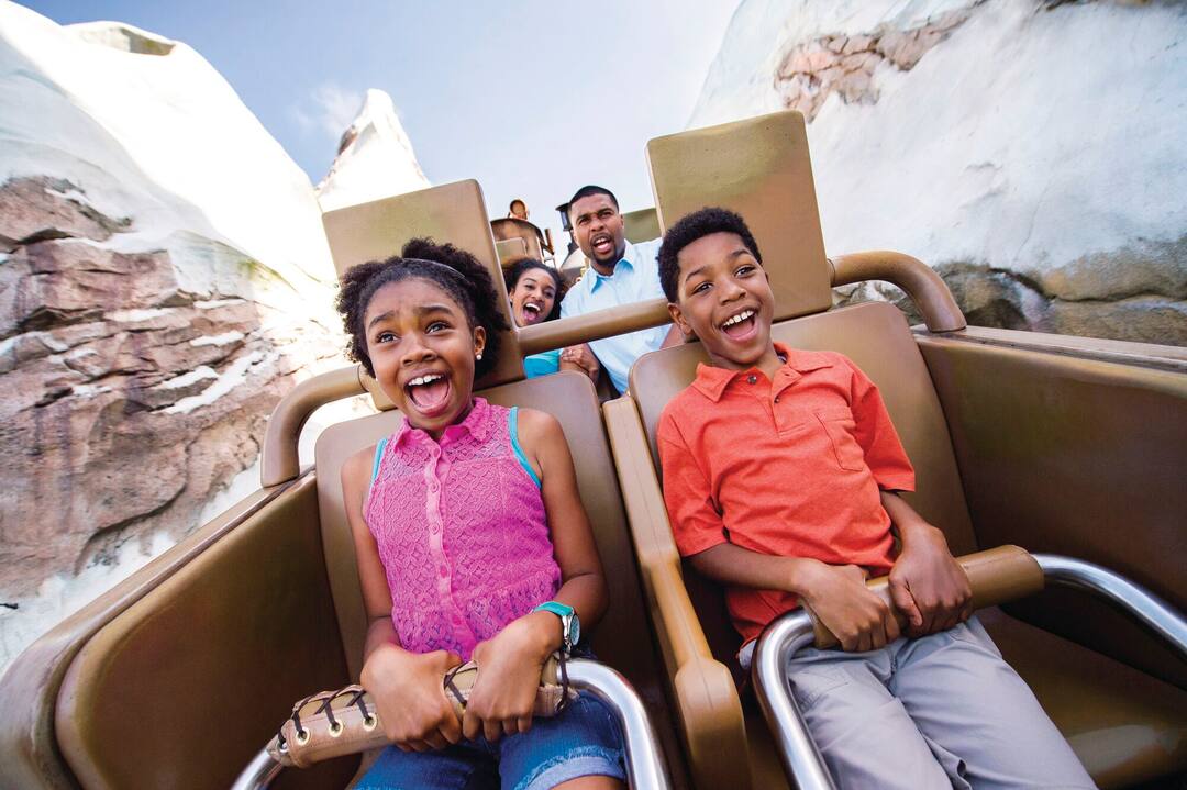 Expedition Everest, Disney's Animal Kingdom Theme Park