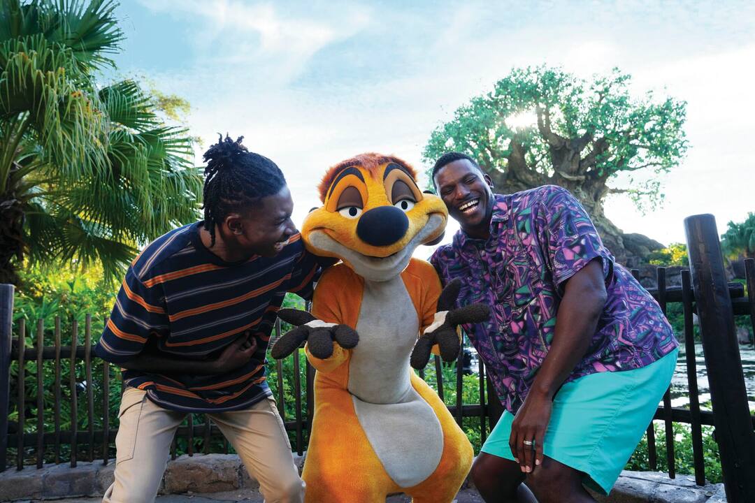 Disney's Animal Kingdom Theme Park