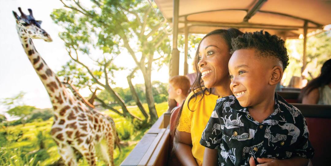 Kilimanjaro Safaris, Disney's Animal Kingdom Theme Park