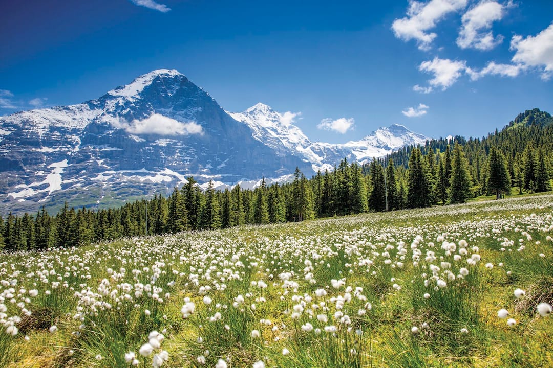© David Birri / Grindelwald, Switzerland