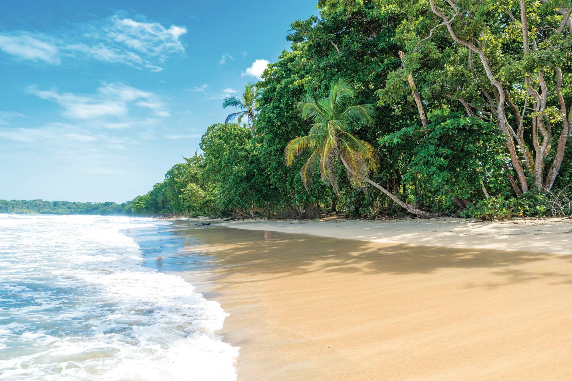 National Park with beautiful beaches and rainforest at caribbean coast of Costa Rica