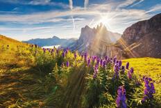 Selva Val Gardena, Italy
