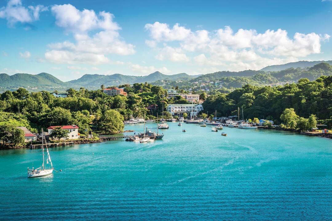 A Taste of the Tropics