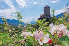 Selva Val Gardena, Italy