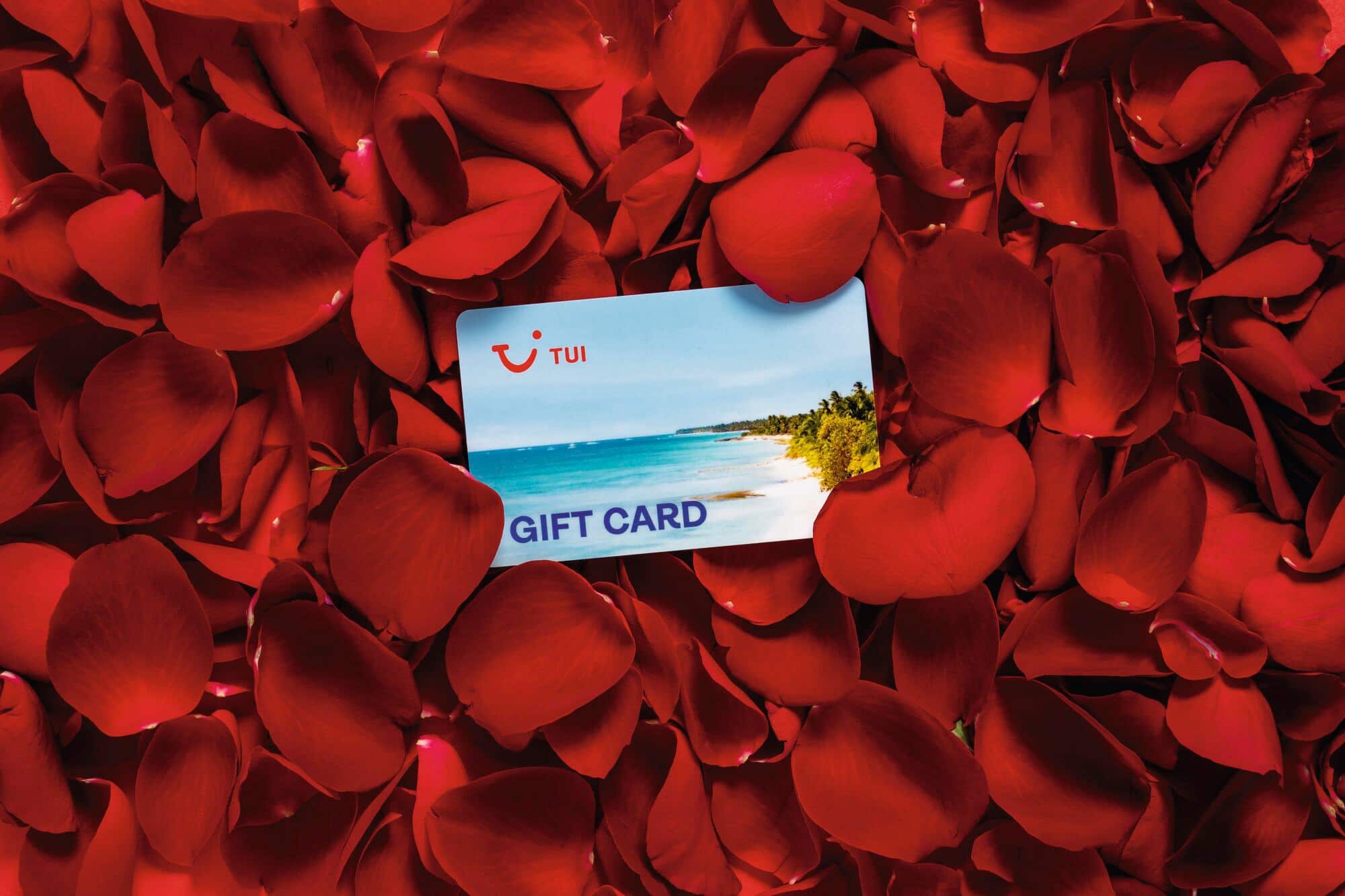 A TUI gift card resting on red rose petals.