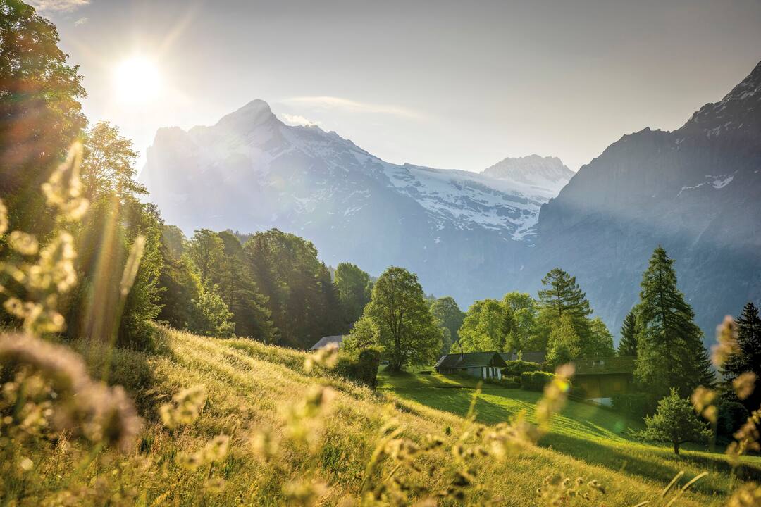© Jungfrau Region Tourismus AG / David Birri / Grindelwald, Switzerland