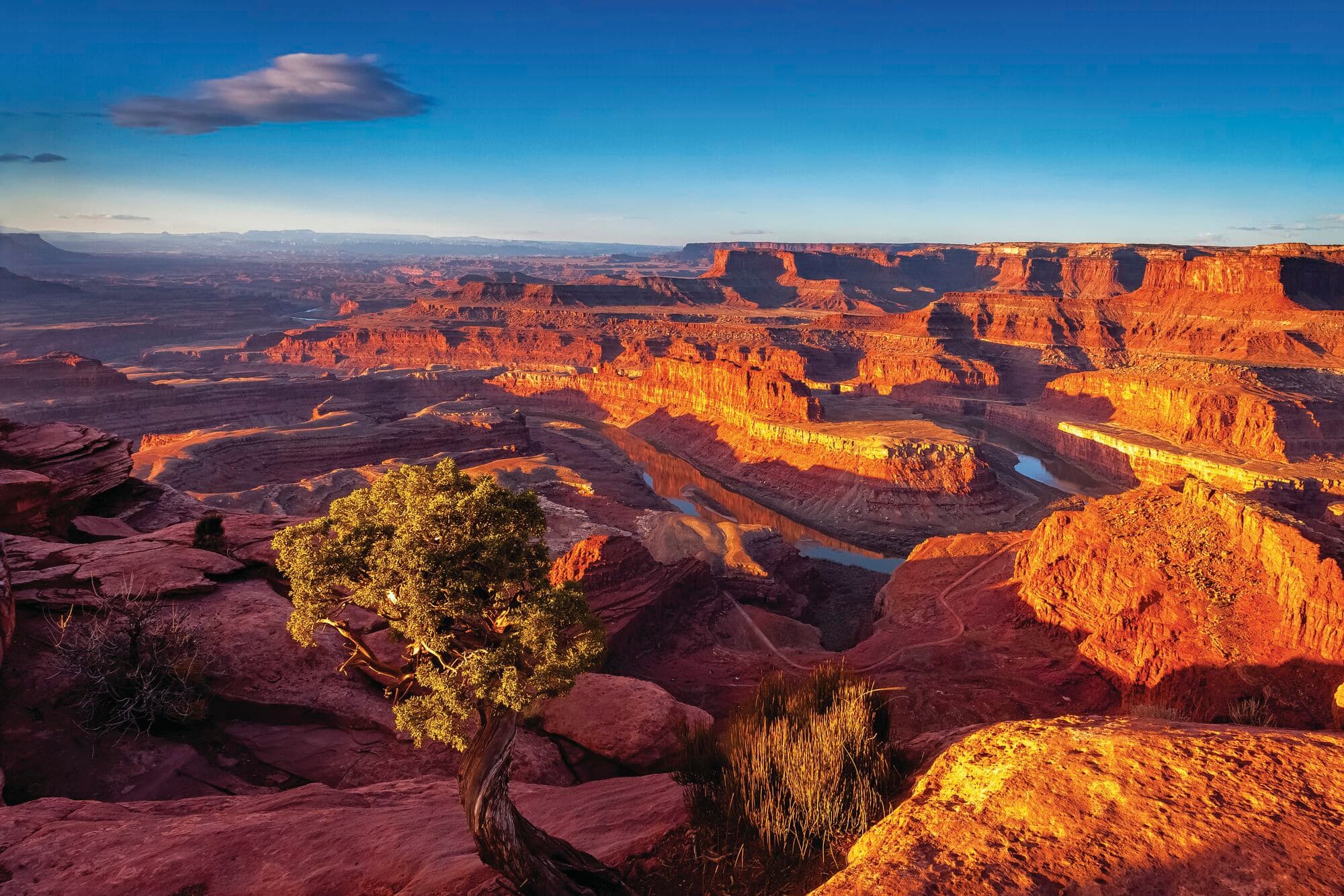The Canyons at Dead Horse Point State Park in Utah.