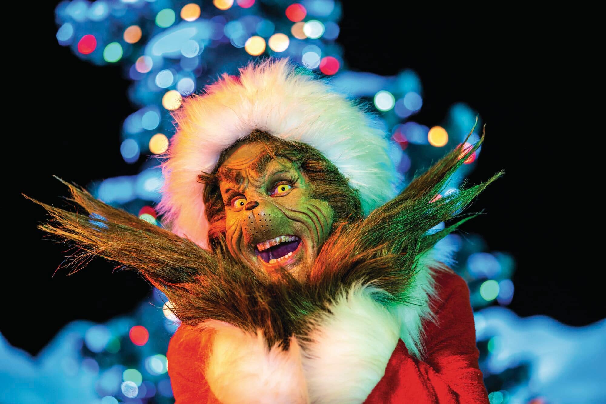 The Grinch in a Santa costume.