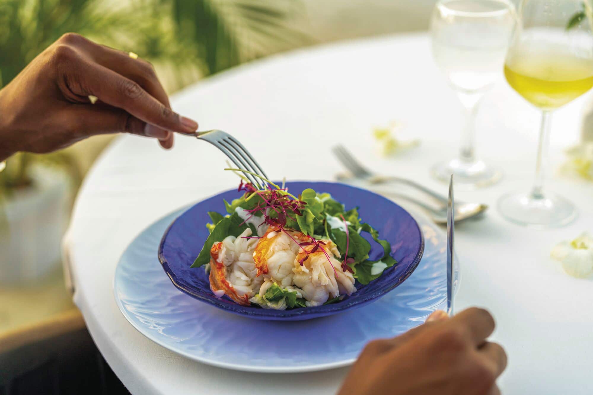 A close-up of a bowl with fresh fish and salad.