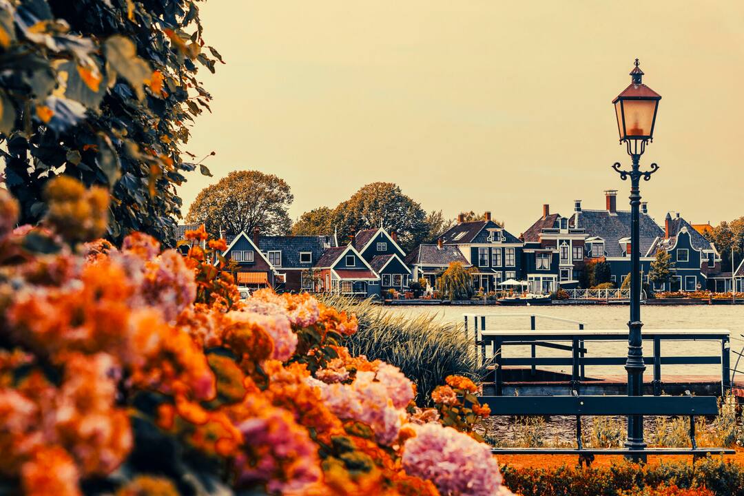 Zaandam