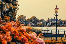 Zaandam