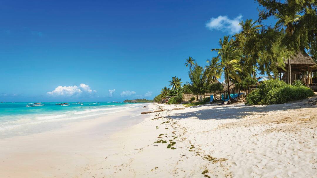 Michamvi Kae, Zanzibar