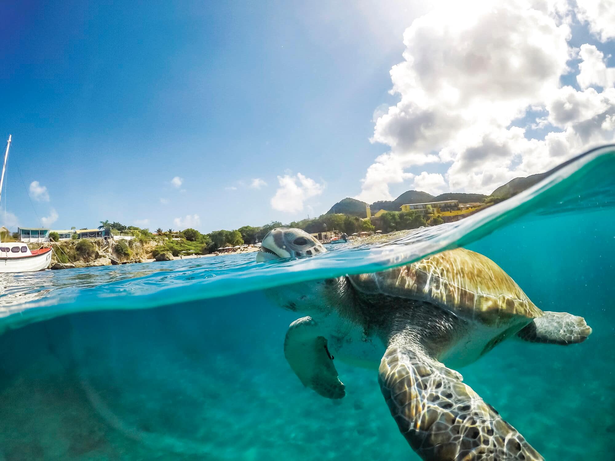 Swimming with Turtles Views around the small Caribbean Island of Curacao.
