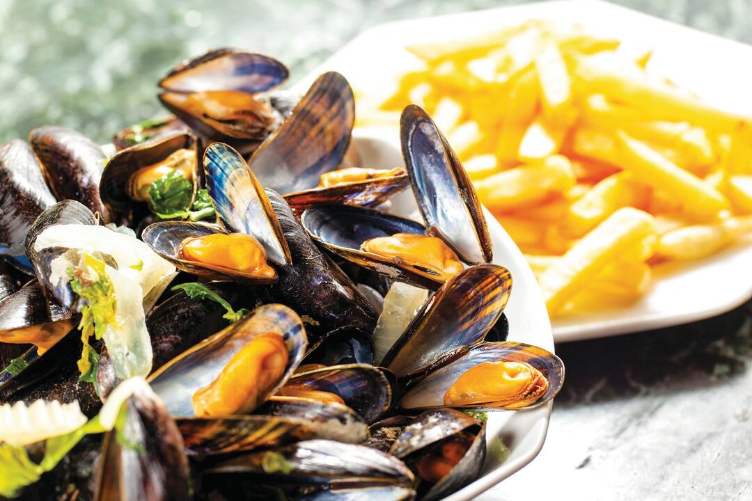 Mussels